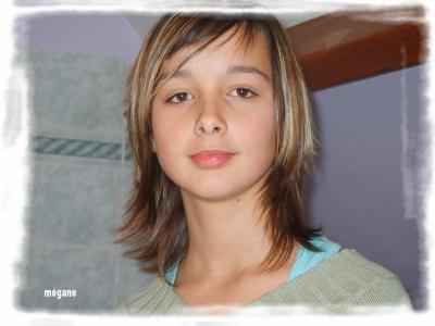 voici megane